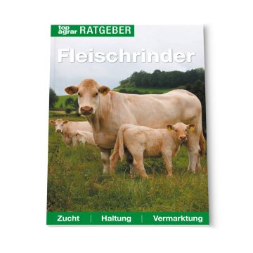 top agrar Ratgeber Fleischrinder